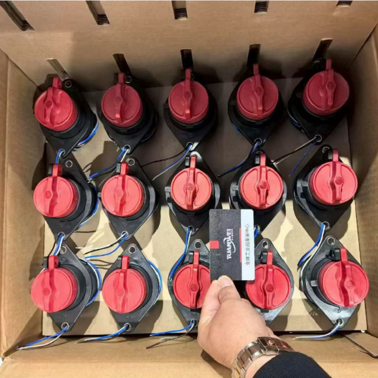 RINCON POWER 推出新的 600A, 1000V 手动电池断开装置，HVBD6A
